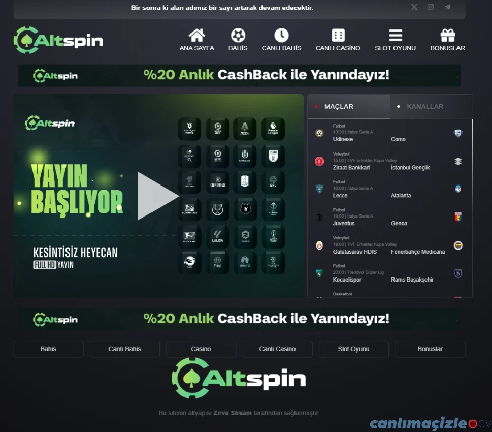 Altspin tv TV